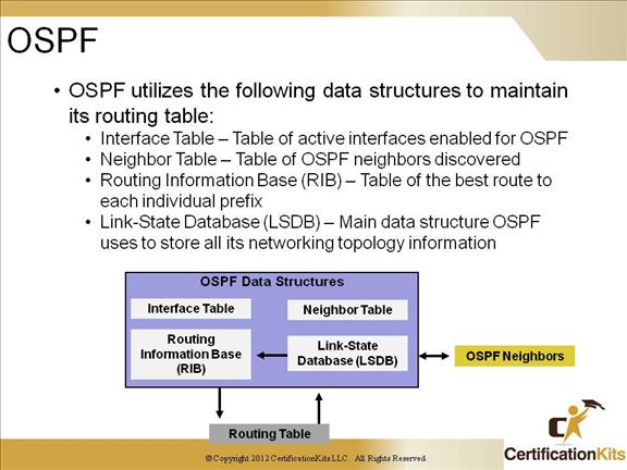 CCNP OSPF
